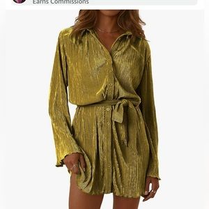Lyaner Pleated Shirt Dress